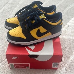 Youth Nike dunk low Michigan